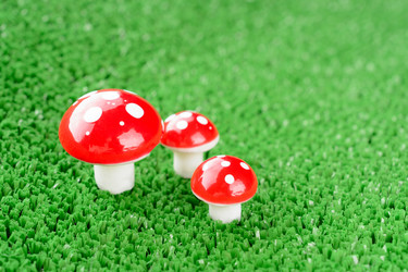 Similar image 11811663