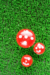 Similar image 11811664