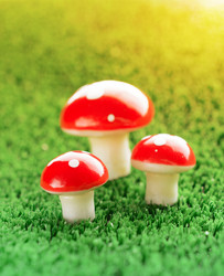 Similar image 11811665