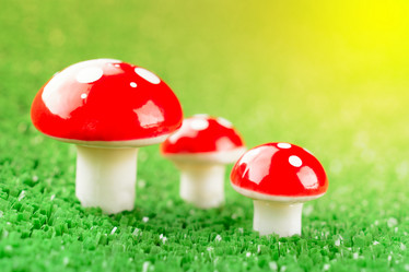 Similar image 11811666