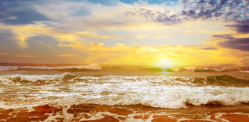 Similar image 11811554