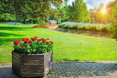 Similar image 11811558