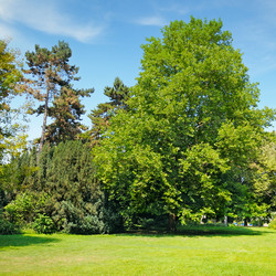 Similar image 11811568