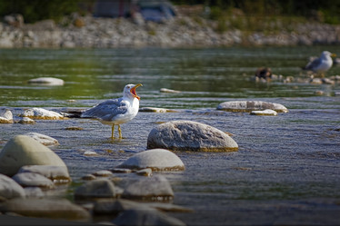 Similar image 11811610