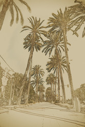 Similar image 11824709