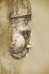 Similar image 11824756