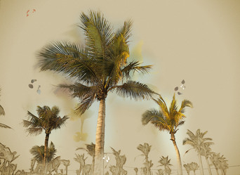 Similar image 11824952