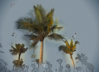 Similar image 11824913