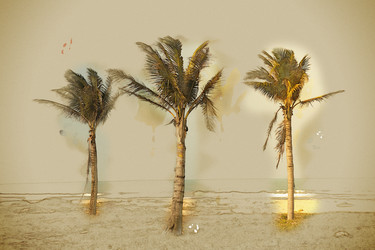 Similar image 11824996