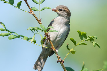 Similar image 11810606