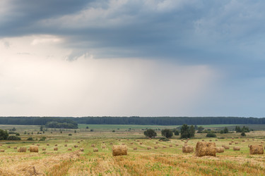 Similar image 11810612