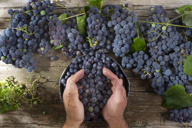 Similar image 11823648