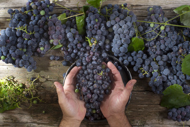 Similar image 11823649