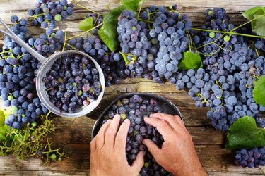 Similar image 11823669