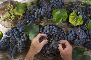 Similar image 11823651