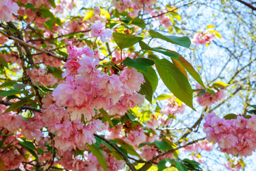 Similar image 11811611