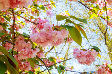 Similar image 11811612