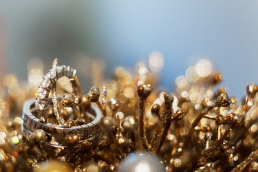 Similar image 11811613