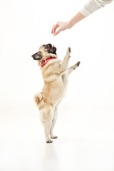 Similar image 11810872