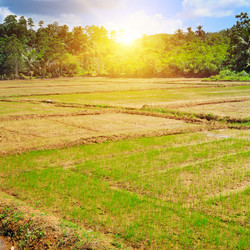 Similar image 11815170