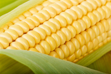 Similar image 11811672