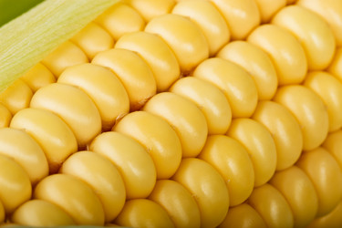 Similar image 11811673