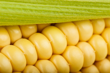 Similar image 11811675