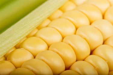 Similar image 11811676