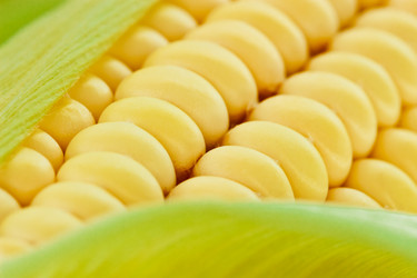 Similar image 11811677