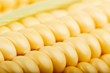 Similar image 11811678