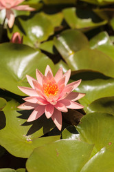 Similar image 11815224