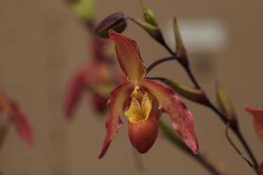 Similar image 11813066