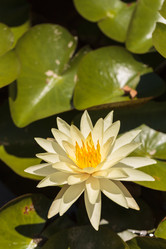 Similar image 11815225