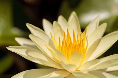 Similar image 11815226