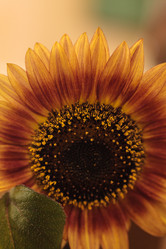 Similar image 11815233