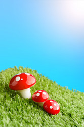 Similar image 11815234