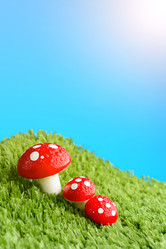 Similar image 11815235