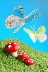 Similar image 11815237