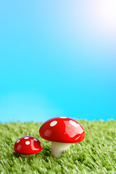 Similar image 11815238