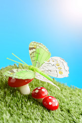 Similar image 11815239