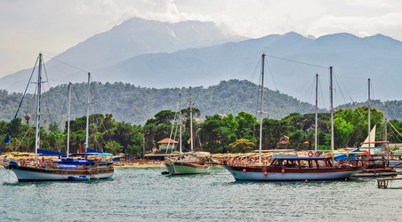 Similar image 11811620