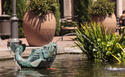 Similar image 11819012