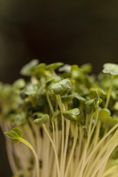 Similar image 11819022