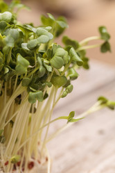 Similar image 11819028