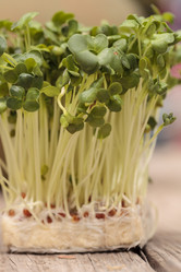 Similar image 11819029