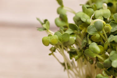 Similar image 11819038