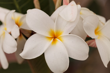 Similar image 11818320