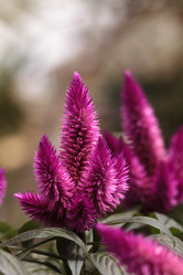 Similar image 11819041