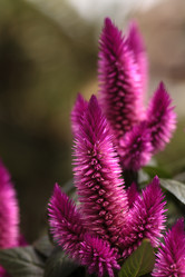 Similar image 11819046