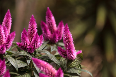 Similar image 11819049